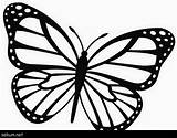 Butterfly Monarch Coloring Printable Outline Pages Kids Template Morpho Choose Board Sketch sketch template