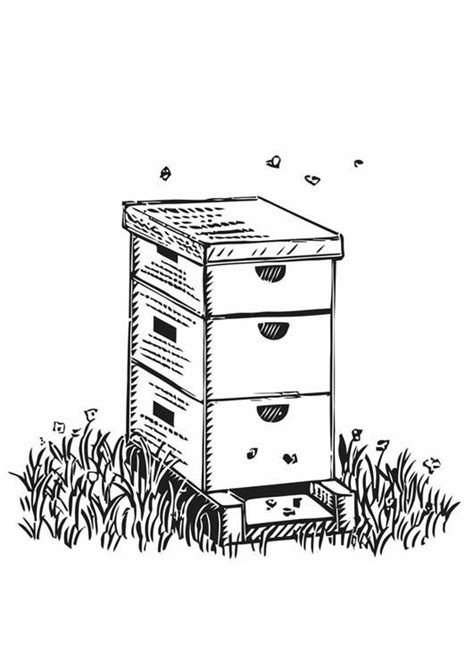 coloring page beehive img  bee drawing bee art coloring pages