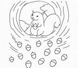Coloring Squirrel Preschool Pages Popular Library Clipart Coloringhome sketch template