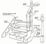 Stair Handrail Railing Anatomy Railings Staircases Stairway Stringer Terminology Nosing sketch template
