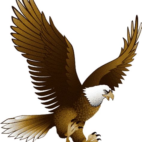 clipart eagle    cliparts  images  clipground