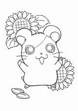 Coloring Guinea Pig Hamtaro Hamster Pages Luna Color Number Popular Template sketch template