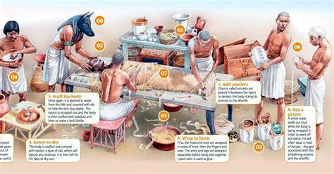 interesting facts  history  egyptian mummification