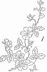 Rose Embroidery Flower Flickr Cherokee Patterns Designs Drawing Flowers Vintage Paper Pattern Floral Motifs Pyrography Stencils Embroidered Sizes Florals Painting sketch template