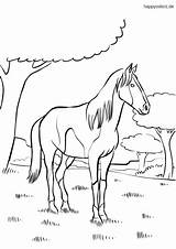 Schecke Pferd Malvorlage sketch template