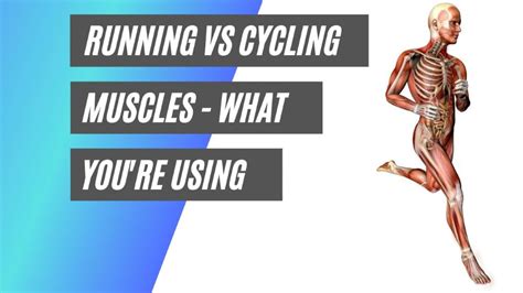 running  cycling muscles heres   youre