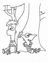 Phineas Ferb Coloring Descansando Widow Colorat Copac Ornitorrinco Baieti Plansa Cei Agente Seu Tudodesenhos Tigrisor Coloringhome sketch template