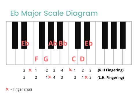 eb major scale   piano notes fingerings