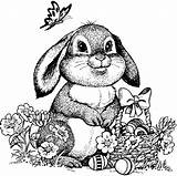 Pasqua Coniglio Colorare Dolce Disegni Coniglietto sketch template