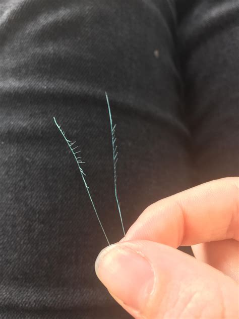 satisfying split ends pull rtrichsters