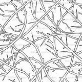 Coloring Spoonflower Outlines Thorns Branches Interweaving Back sketch template