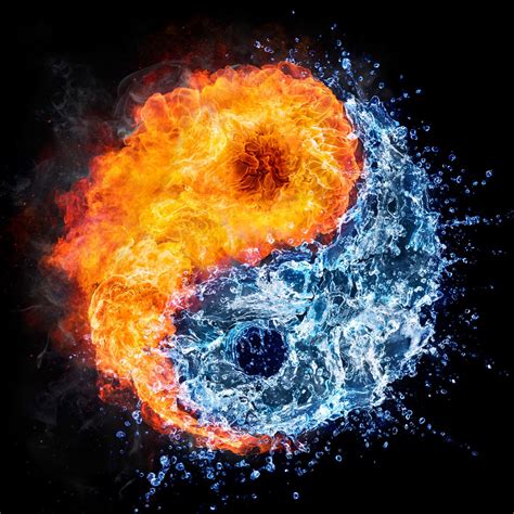 balance  yin   yin  art yin  yin  meaning
