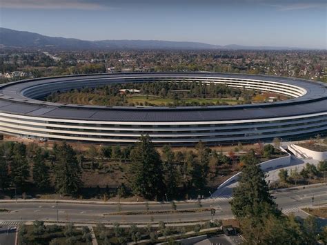 twitter user shares ways apple park caters  visitors