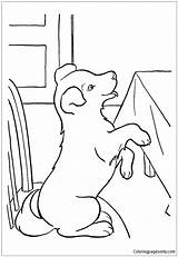 Pages Puppy Begging Coloring Food Color sketch template