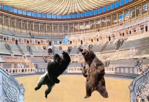 Silverbackgorilla Vs Grizzly Bear Who Would Win Choose