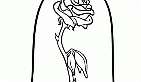 beauty   beast rose drawing    clipartmag