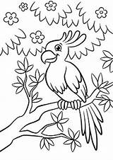 Coloring Parrot Colorear Perroquet Branche Foresta Albero Gentile Pappagallo Sveglio Siede Fiorito Che Tulamama Dessins Pinte Bonitos Dory sketch template