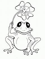 Toad sketch template