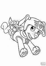 Patrol Paw Coloring Pages Zuma Pdf Backpack Gear Scuba Chase Ryder Printable Supercoloring Color Getcolorings Drawing Print sketch template