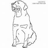 Rottweiler Coloring Designlooter Dog Rottweilers Sitting Patterns Line sketch template
