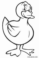 Duck Coloring Pages Ducks Donald Baby Printable Realistic Color Print Cool2bkids Kids Getcolorings Pictur sketch template
