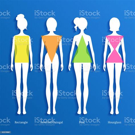 Female Body Types Stock Illustration Download Image Now Istock