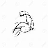 Arm Drawing Muscle Muscles Biceps Clipart Sketch Bicep Cartoon Illustration Stock Strong Drawings Flexing Vector Paintingvalley Clenched Fist Depositphotos Getdrawings sketch template