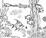 Coloring Pages Ocean Reef Ecosystem Aquarium Marine Drawing Plants Fish Printable Coral Barrier Great Floor Drawings Underwater Waves Among Print sketch template
