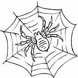 Spider Coloring Pages Print sketch template