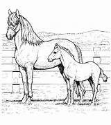 Horse Coloring Baby Pages Mom Printable Getcolorings Color sketch template