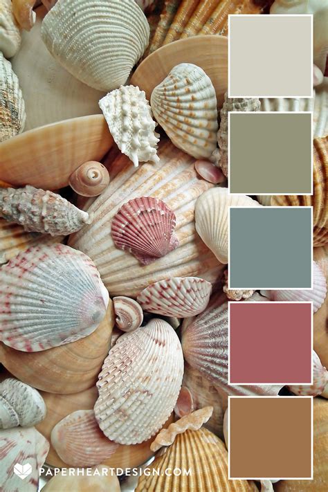 color palette  sells sea shells paper heart design