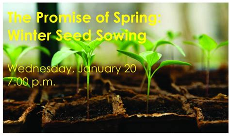 jan   promise  spring winter seed sowing hinsdale il patch