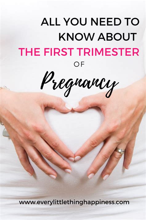What All You Need To Know About The First Trimester Of Pregnancy
