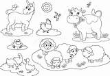 Farm Animals Coloring Pages Color Sheets Animal Printable Kids Activity Sheep Frog Donkey Baby Animaux Ferme Coloriage Adults Drawing Popular sketch template