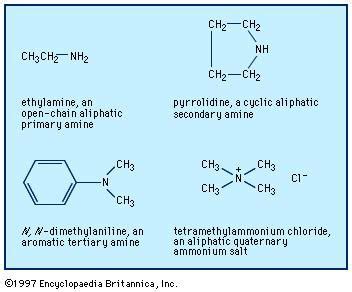 amine chemical compound britannicacom