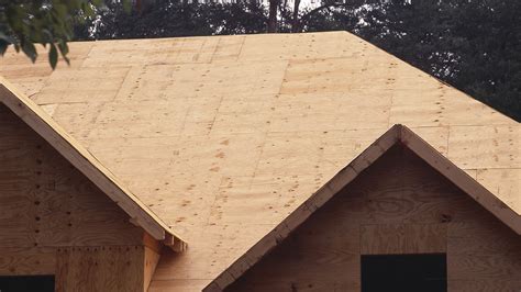 plywood roof sheathing osb roofing boards georgia pacific roofing