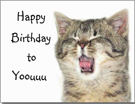 Funny Happy Birthday Cat Wishes Image