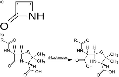 beta lactam structure