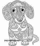 Mandala Coloring Pages Dog Print Printable Dachshund Mandalas Adults Pug Animal Adult Color Getcolorings Goldendoodle Getdrawings Da Ausmalen Tiere Dogs sketch template