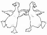 Dancing Animals Ducks Two Pages2color Pages Cookie Copyright sketch template