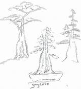 Cypress Louisiana Drawing sketch template