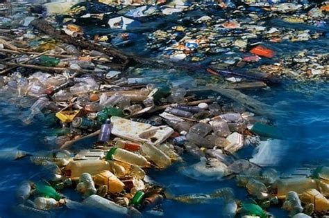 zerstoerung und schutz der umwelt kw plastikinseln