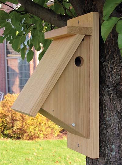 diy bird house plans   attract    garden