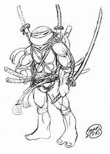 Tartarugas Desenho Ninjas Tartaruga Mutantes Douglas sketch template
