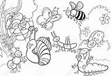 Meadow Designlooter Insects sketch template