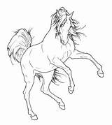Horse Rearing Coloring Pages Arabian Drawing Lineart Friesian Angry Horses Drawings Head Sketch Easy Quarter Outlines Deviantart Getdrawings Drawn Color sketch template