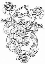 Snakes Serpientes Serpenti Adulti Adultos Serpent Erwachsene Schlangen Serpents Malbuch Justcolor Sweetness Danger Coloriages Arwen sketch template