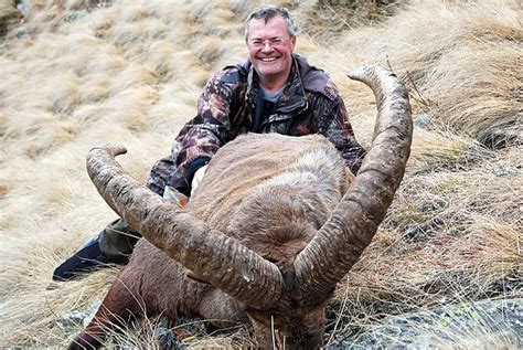 7 day mid caucasian tur hunt for 1 hunter in russia wsf world