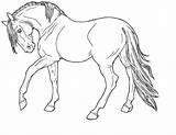 Paard Kleurplaat Fries Downloaden sketch template