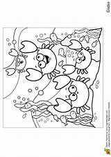 Coloriage Crabe Poisson Visiter Heureuse Poissons sketch template